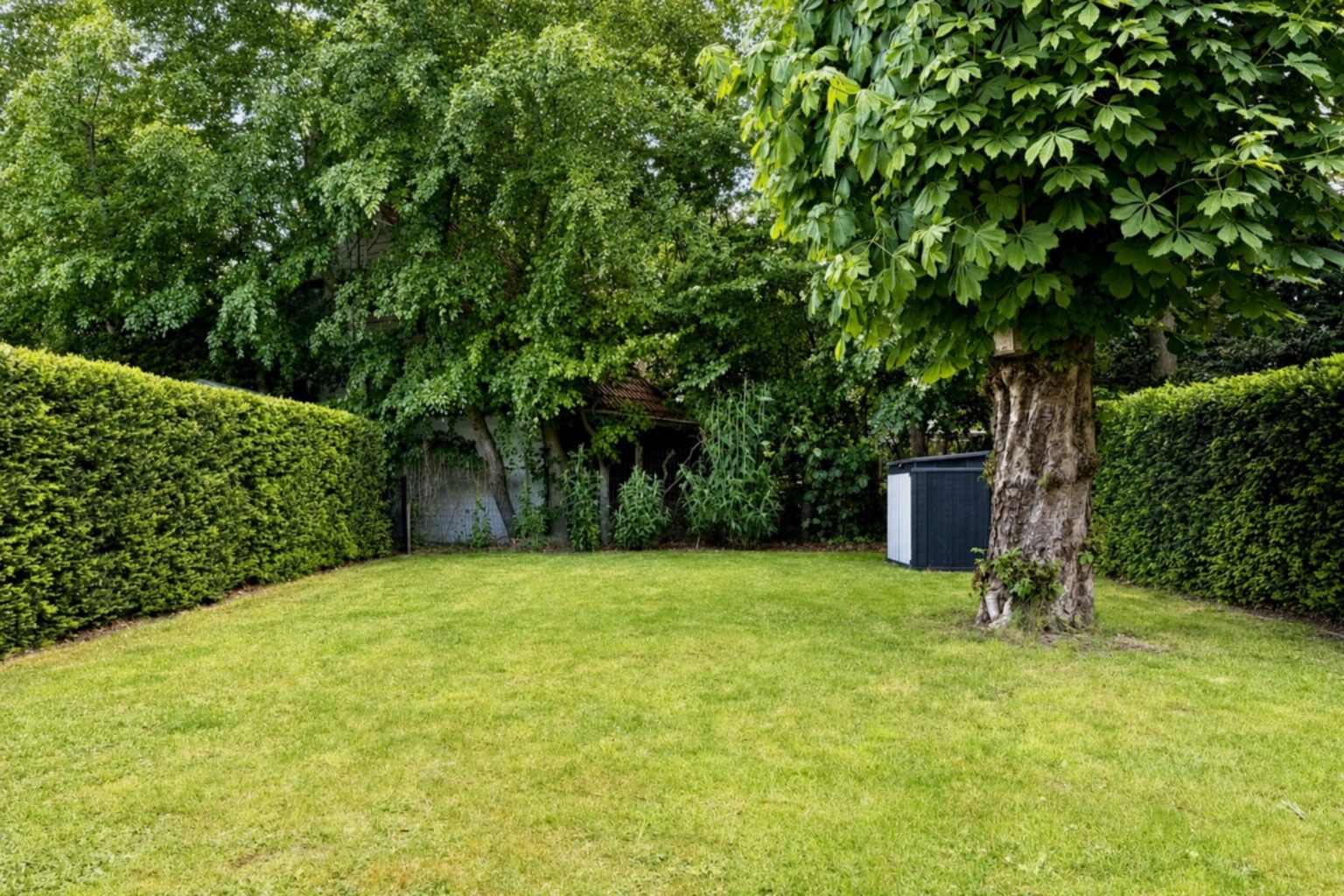 Vooraanzicht van de tuin